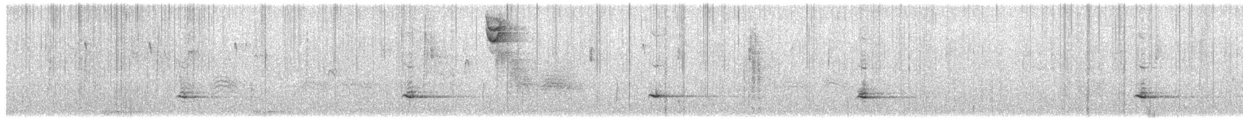 ハエトリツグミ - ML643993715