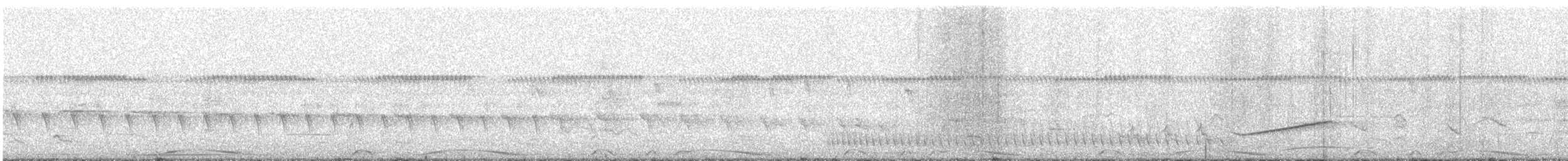 Pale-vented Pigeon - ML643993738
