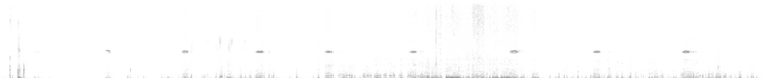Зулбаран гургалдай - ML643993793