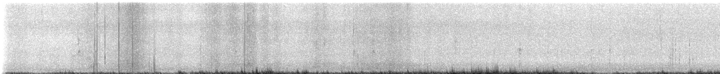フユミソサザイ - ML643993830