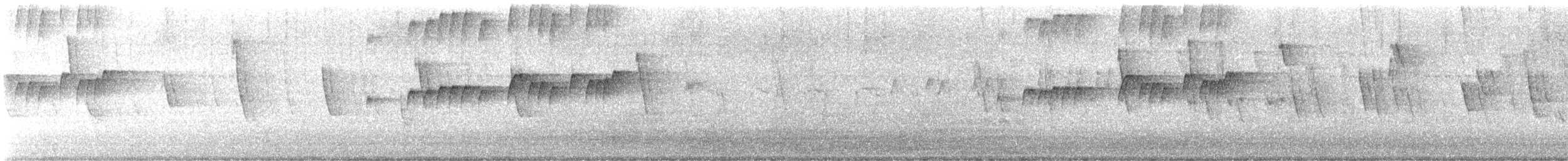 tropekongetyrann - ML643994070