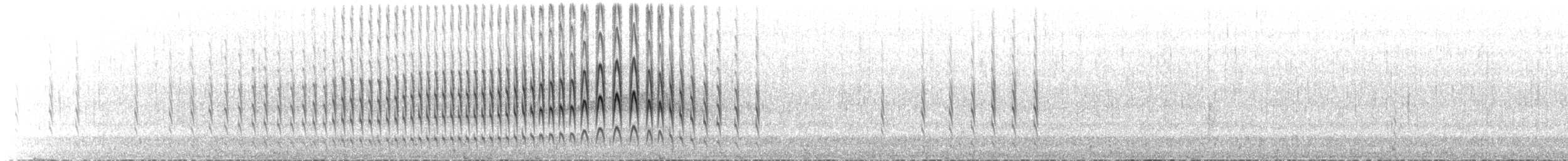 Royal Cinclodes - ML643994676