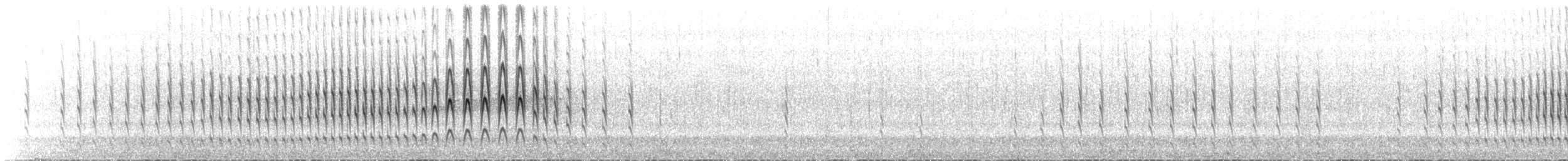 Royal Cinclodes - ML643994677