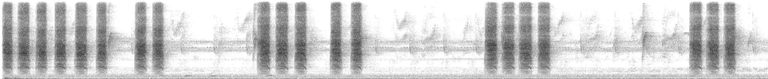 Green Jay (Inca) - ML643994994