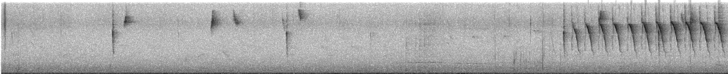 Lesser Antillean Bullfinch - ML643995796