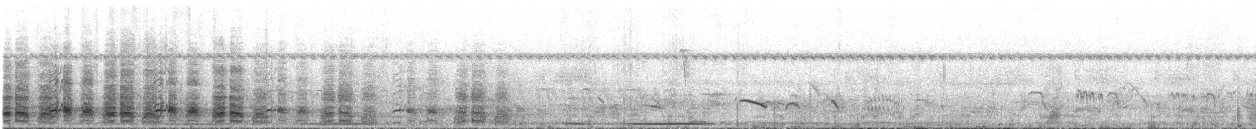 Speckled Chachalaca - ML643996200