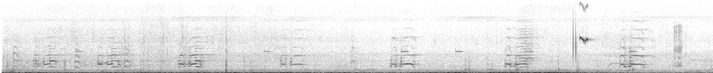 Moucherolle à tête blanche - ML643996326