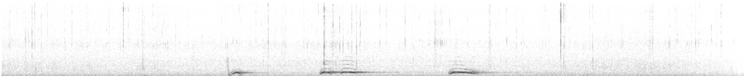 Spotted Owl - ML643997132
