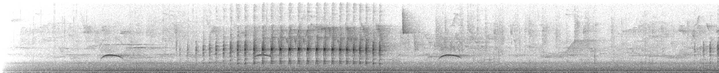 Buff-browed Foliage-gleaner - ML643997247