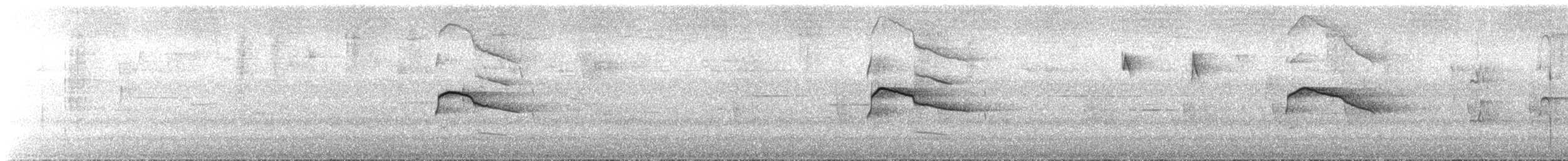 hvitgumpvåk - ML643997308
