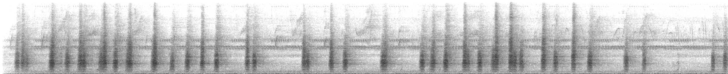 Speckled Chachalaca - ML643997371