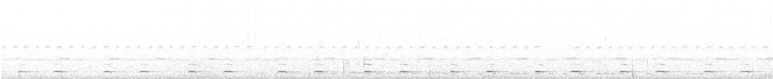 Northern Pygmy-Owl (Mountain) - ML643997377