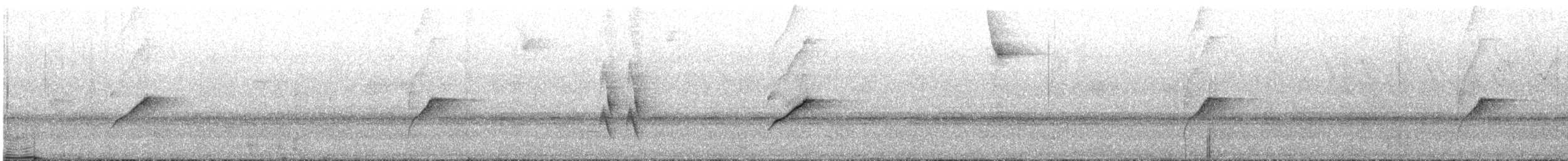 bladflatnebb - ML643999024