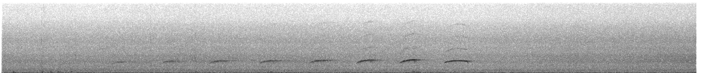 Dull-capped Attila - ML644000216