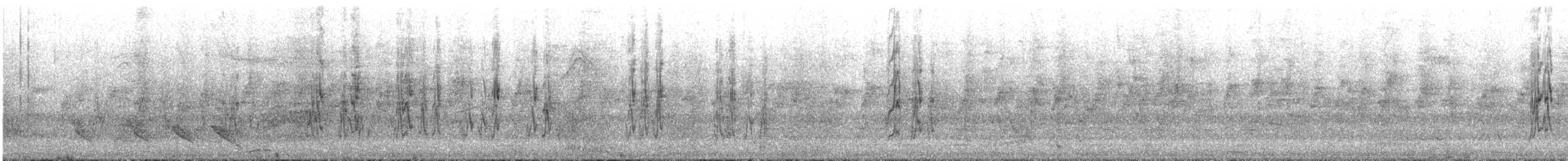 Cobalt-rumped Parrotlet - ML644000302