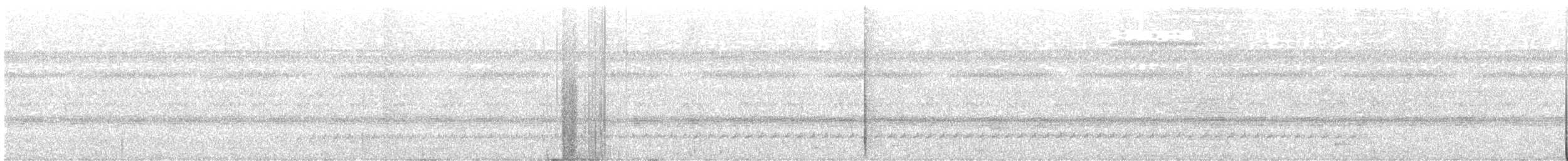 Tamatia à front blanc - ML644000554