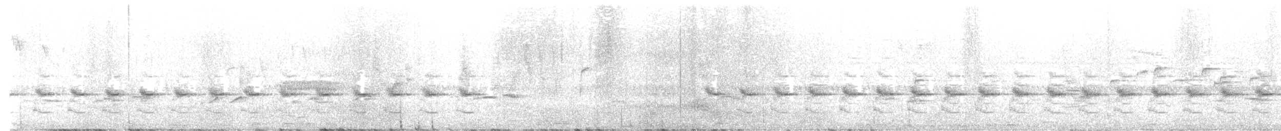 Rwenzori Apalis - ML644000925