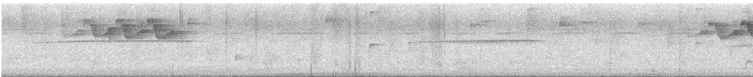 オオテリハウズラバト - ML644002261