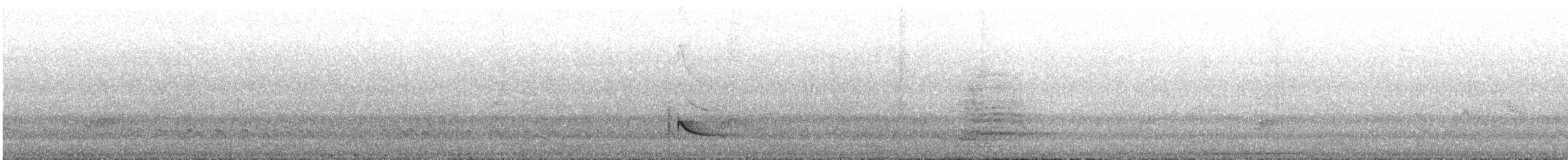 Large Elaenia - ML644002547