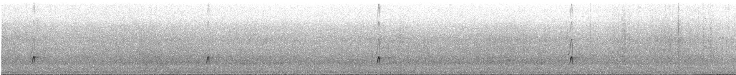 Brown-crested Flycatcher - ML644002618