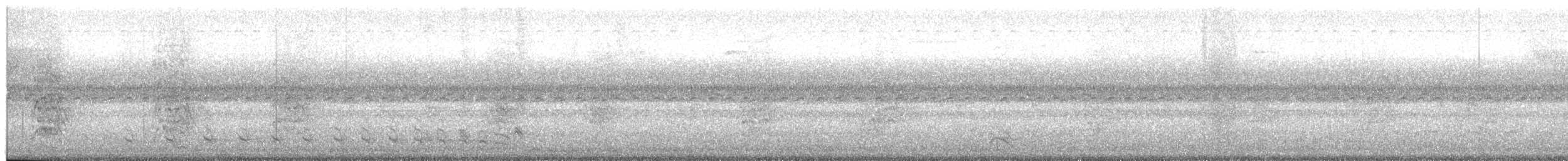 Bar-crested Antshrike - ML644002640