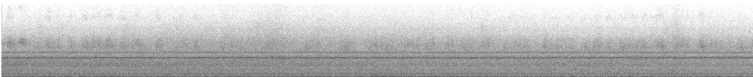 Dull-capped Attila - ML644003652