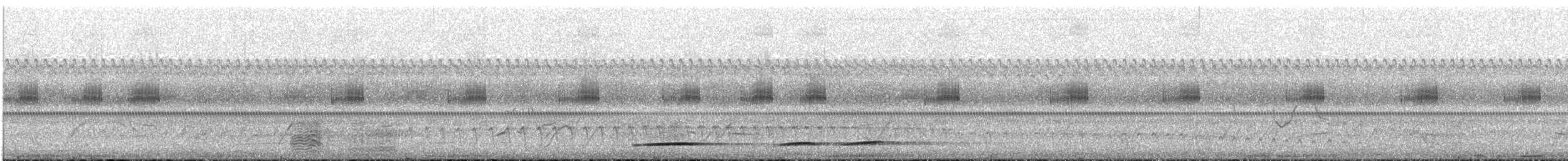 Tinamou vermiculé - ML644003893