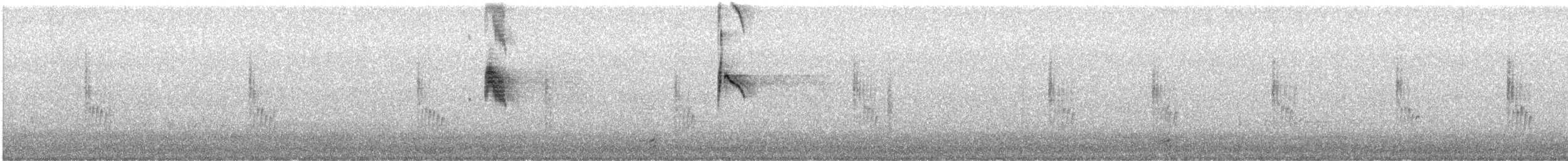 tyran obecný - ML644004531