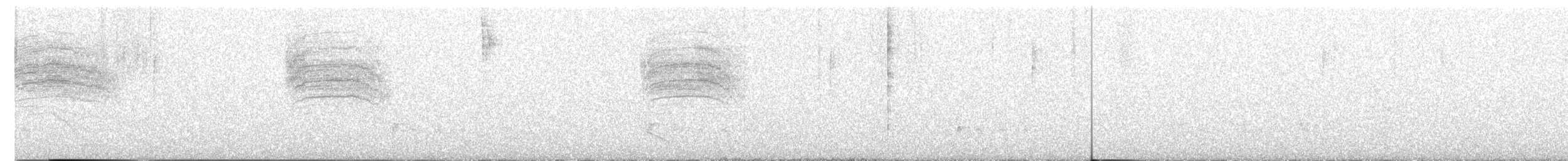 Tropical Gnatcatcher - ML644004661