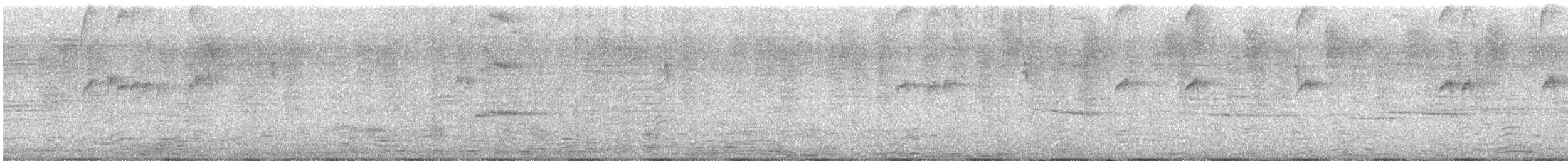 tropekongetyrann - ML644004903