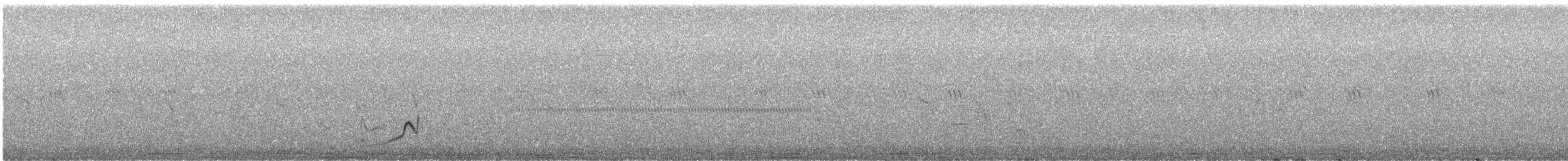 Pluvier neigeux - ML644004949