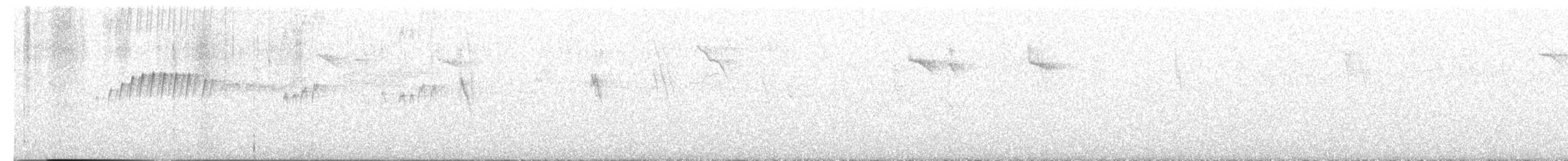 tropekongetyrann - ML644005024