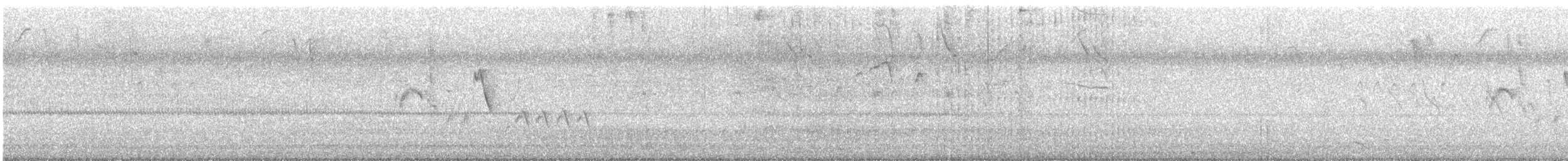 Southern House Wren - ML644005369