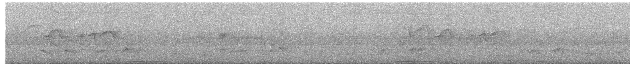 Ruddy Quail-Dove - ML644005428