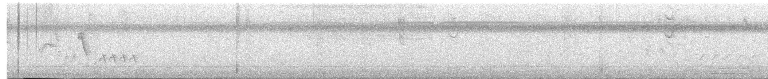 Southern House Wren - ML644005457