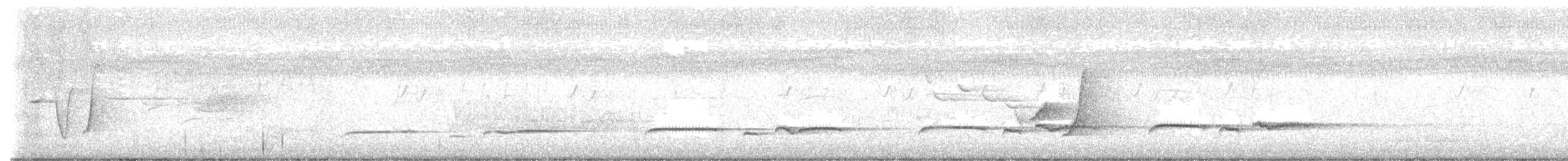 Sahul Brush Cuckoo - ML644005468