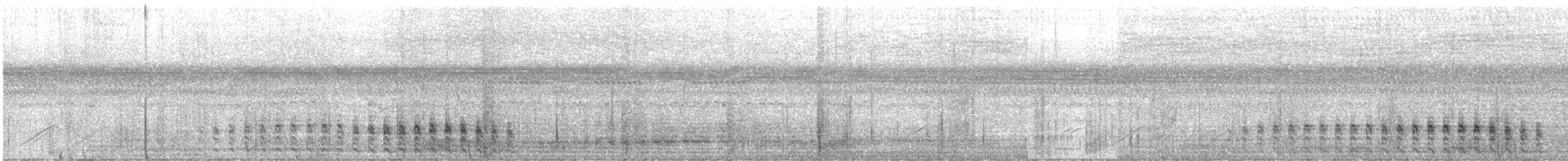 Pantanal Snipe - ML644005520