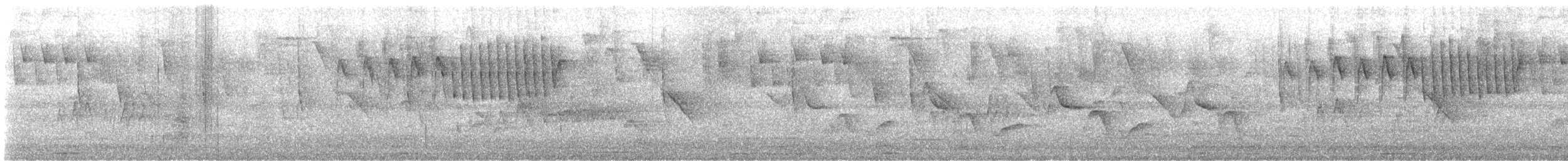 ミナミアサギアメリカムシクイ - ML644005818