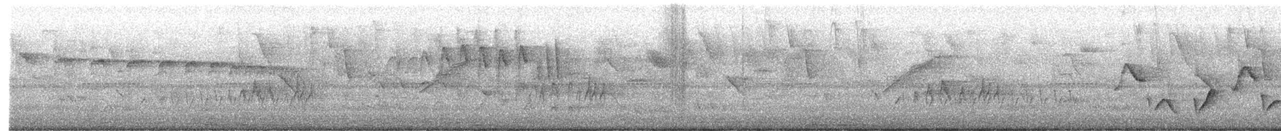 クリムネマユミソサザイ - ML644006073