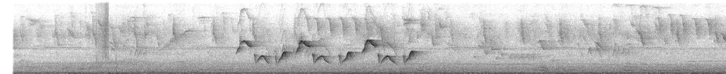 クリムネマユミソサザイ - ML644006180