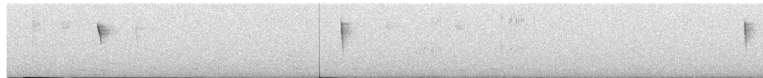 Blackpoll Warbler - ML644006197