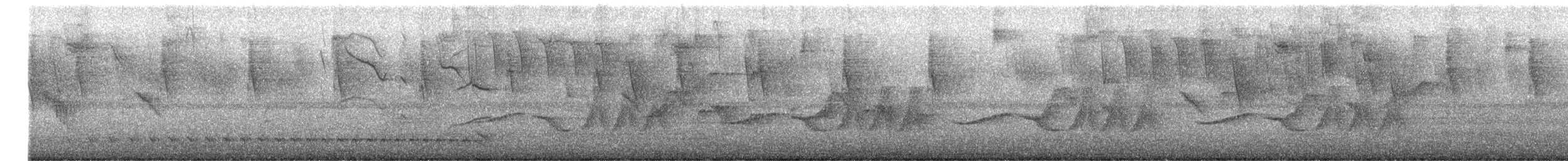 クリムネマユミソサザイ - ML644006364