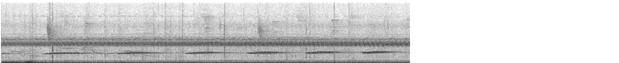 コシギダチョウ - ML644007294