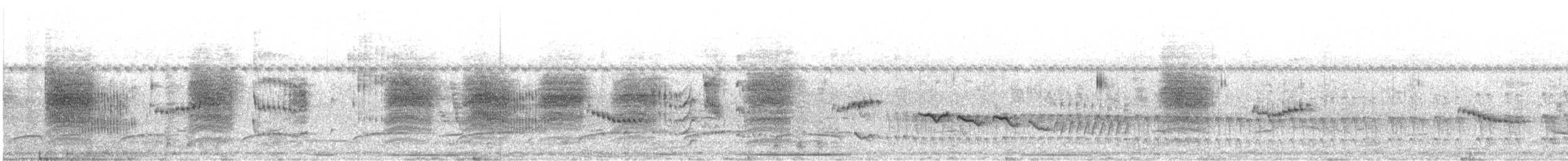 gråhodevireo - ML644007525