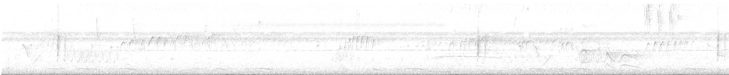 White-throated Toucan - ML644007642