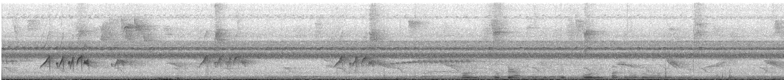 Sooty-headed Tyrannulet - ML644007727