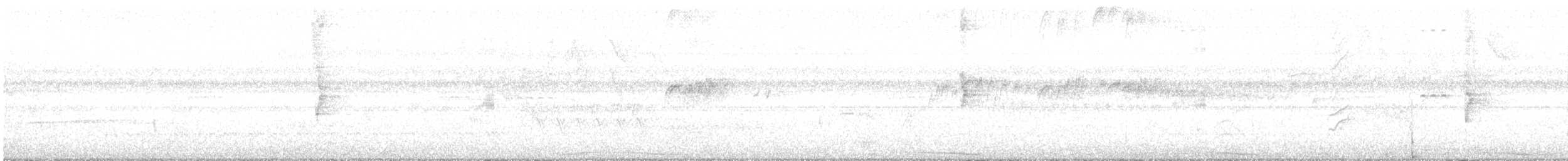 Pale-vented Pigeon - ML644008155