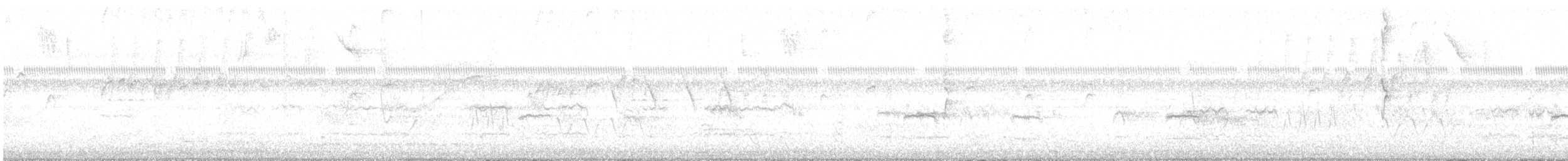Pale-vented Pigeon - ML644008217