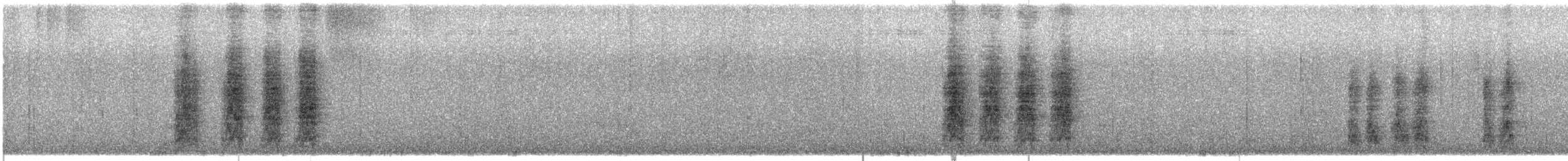 サンタクルスカケス - ML644009013