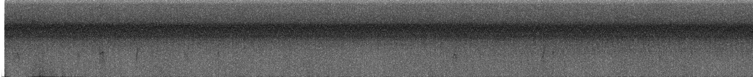 White-eyed Vireo - ML644009896